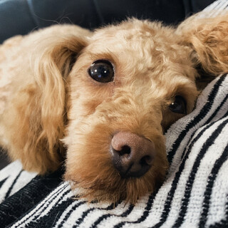 ☆一旦募集を中止致します☆