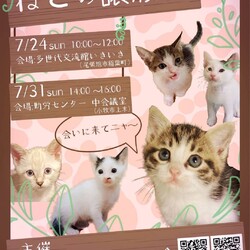 保護猫の譲渡会atいきいき