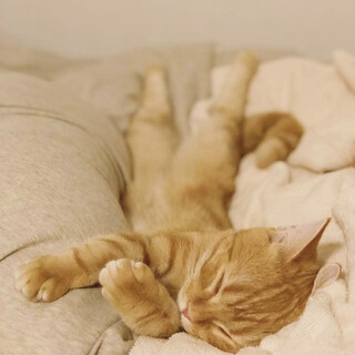 人懐っこい女の子２歳