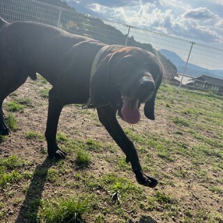 お問合せありストップします！プロット　クランチ