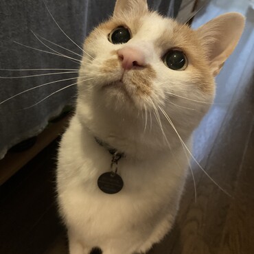 ♡