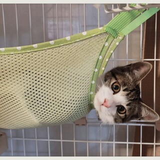 ❤️ボクは　ラッキーBOY　ぴーたん❤️