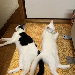 最近の様子