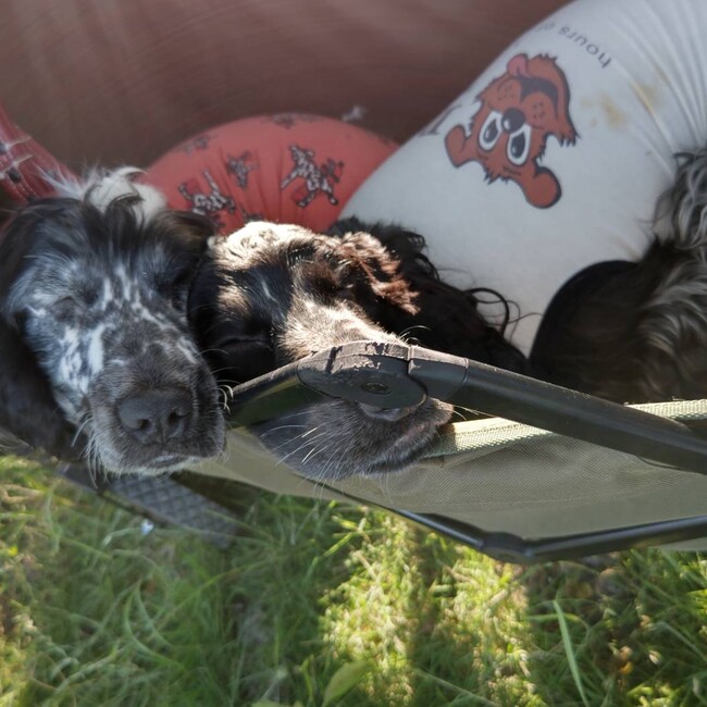 詞音のカバー写真