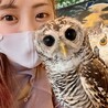 しあわせハウス