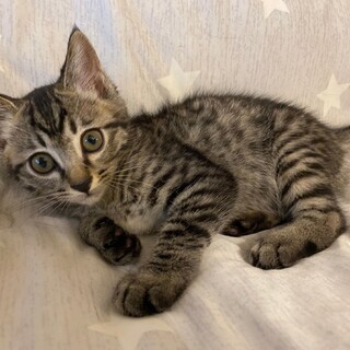 元気な女の子♡カリンちゃん