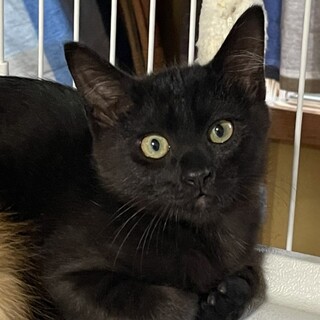 まん丸お目目のイケメン☆ヨウ君