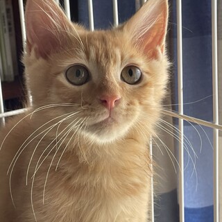 ふわっとカッコイイ☆ヤン君