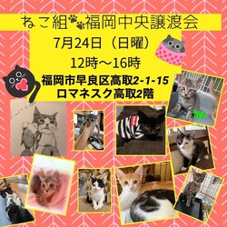 ねこ組福岡中央譲渡会