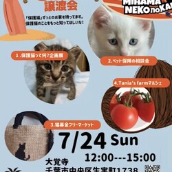 ねこの譲渡会 サムネイル1