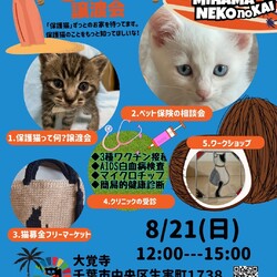 ねこの譲渡会 サムネイル1