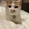 ♡