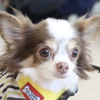 仕草ひとつひとつに癒されます♡穏やかな男の子