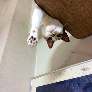 良くこの格好をしていました