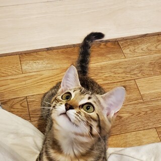 くりくりお目目のぼんちゃん♀️