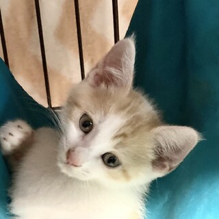 イタズラしても可愛いから許しちゃう❤️宙くん2ヶ月