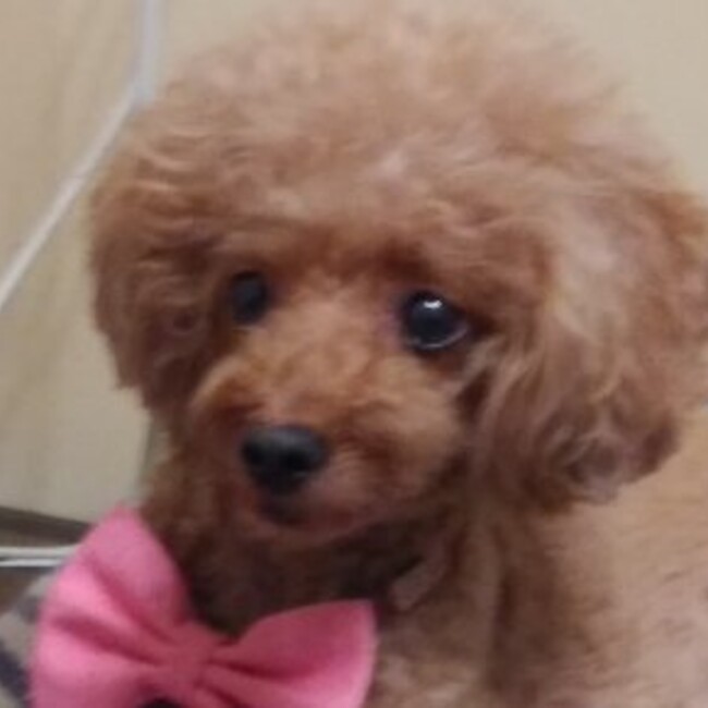 寺岡信一のカバー写真