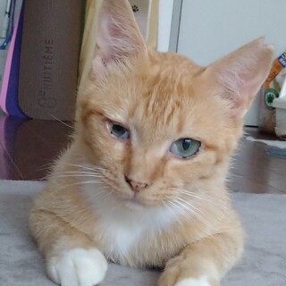 飽きさせませんよ！P太です。