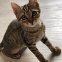 3ヶ月男の子
