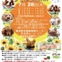 犬の譲渡会 サムネイル1