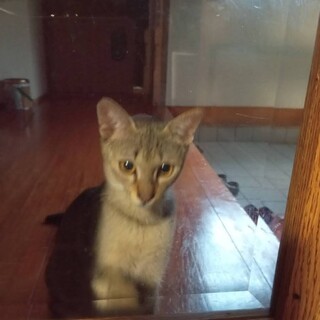 6ヶ月・男の子です