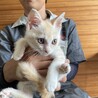 終生飼える方求む サムネイル7