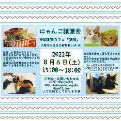 にゃんこ譲渡会
