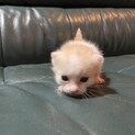 育児放棄され宮城から来た萩くん