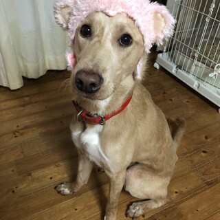 10ヶ月のわんぱくさぶくん♡