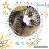 超癒し系猫♡福ちゃん サムネイル5