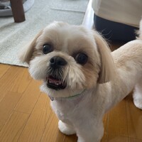 ラグーン