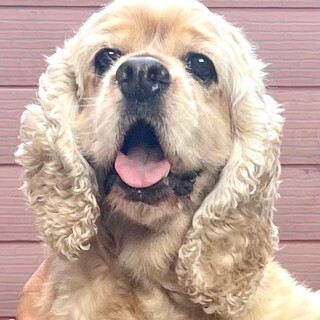 22-W476　甘えん坊さん万歳！！