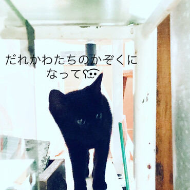 かわい子ちゃんです♡