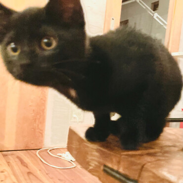 びよーーーん