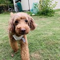 ナナセ