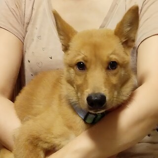 大人しめのラッキー君