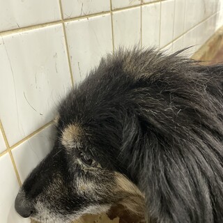 月曜日あさまでです、時間ありません。