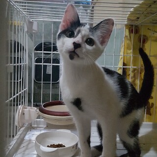 超ゴロスリ！お鼻の♡がチャームポイント