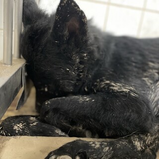 28日までセンター収容中、時間ありません！