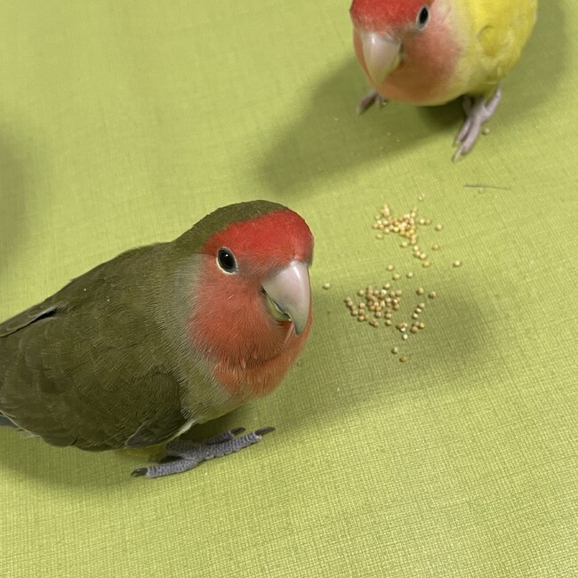 かずみずむのカバー写真