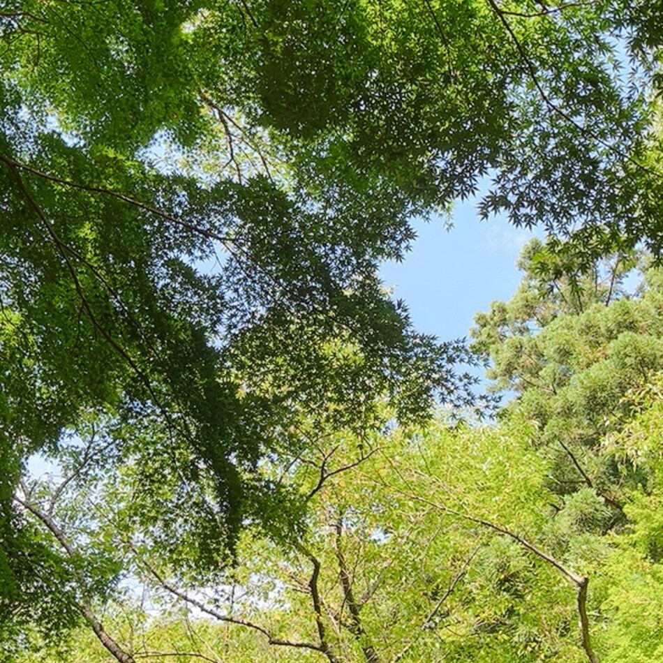 たろうのカバー写真