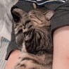 次男の足でおねんねたろちゃん