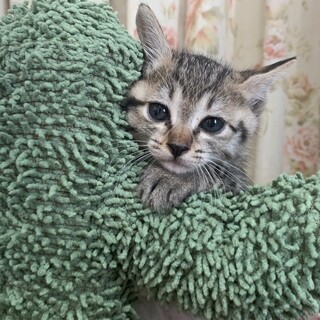 ありがとうございました★可愛いルチアちゃん