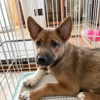 【募集中】ダイス♂の幸せを探しています！