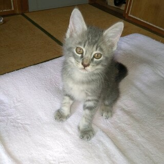 甘えん坊のマリンくん