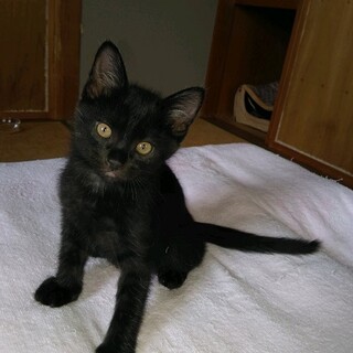 好奇心旺盛で活発なひなたくん