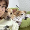 ひめサラまま