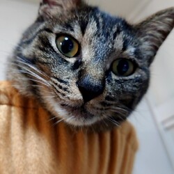 「一月経ちました」サムネイル2