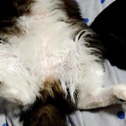 「一月経ちました」サムネイル3