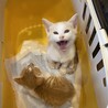 育児放棄され宮城から来た萩くん サムネイル6
